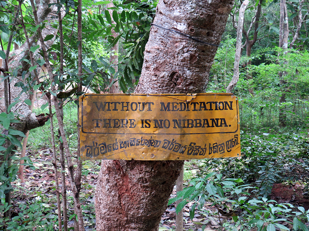 Anuradhapura Part 1  – Wandering Around and a Bodhi Tree