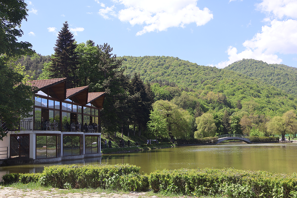 Dilijan: Trees and Coffee